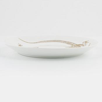 Paul Hoff, tallrikar, 22 st, porslin, "Arter i fara", Gustavsberg/Rörstrand.