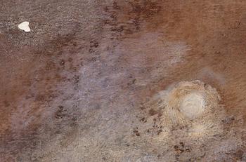 KERSTIN SKOGSBERG, olja på duk, 2 st, sign.