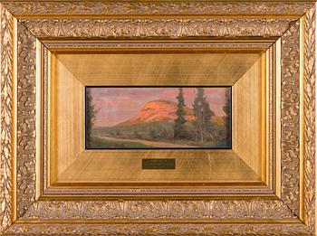 Victor Westerholm, AAVASAKSA.