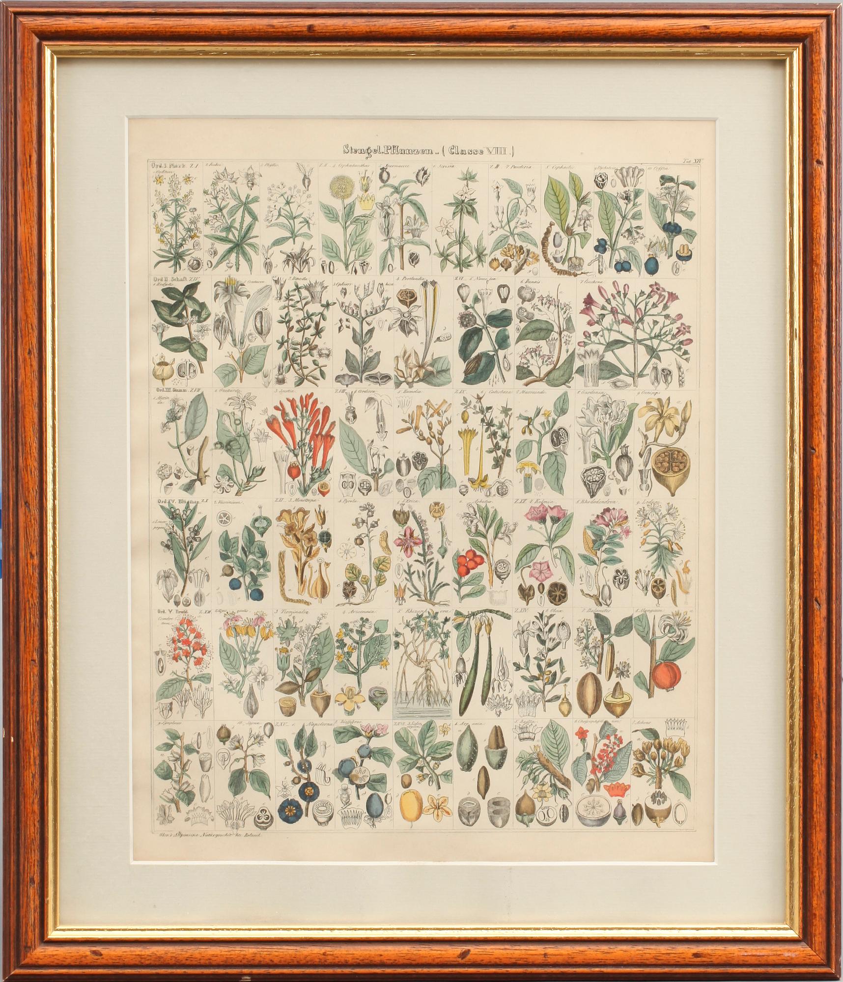 GRAFISKA BLAD, 4 st, 1800/1900-tal.