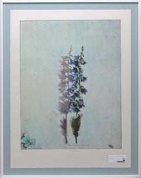 Bengt Landin · BENGT LANDIN, färglitografi. Sign och numr 154/250.