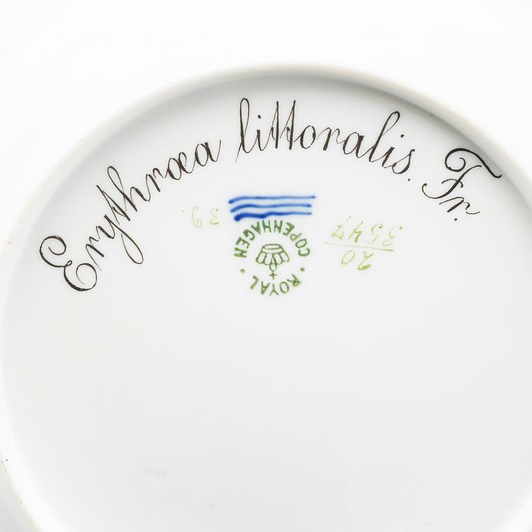 A "FLORA DANICA" PLATE, porcelain, model no 20/3547, Royal Copenhagen (1898-1923).