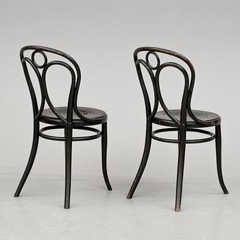 STOLAR 6 st. Thonet, omkring 1900.