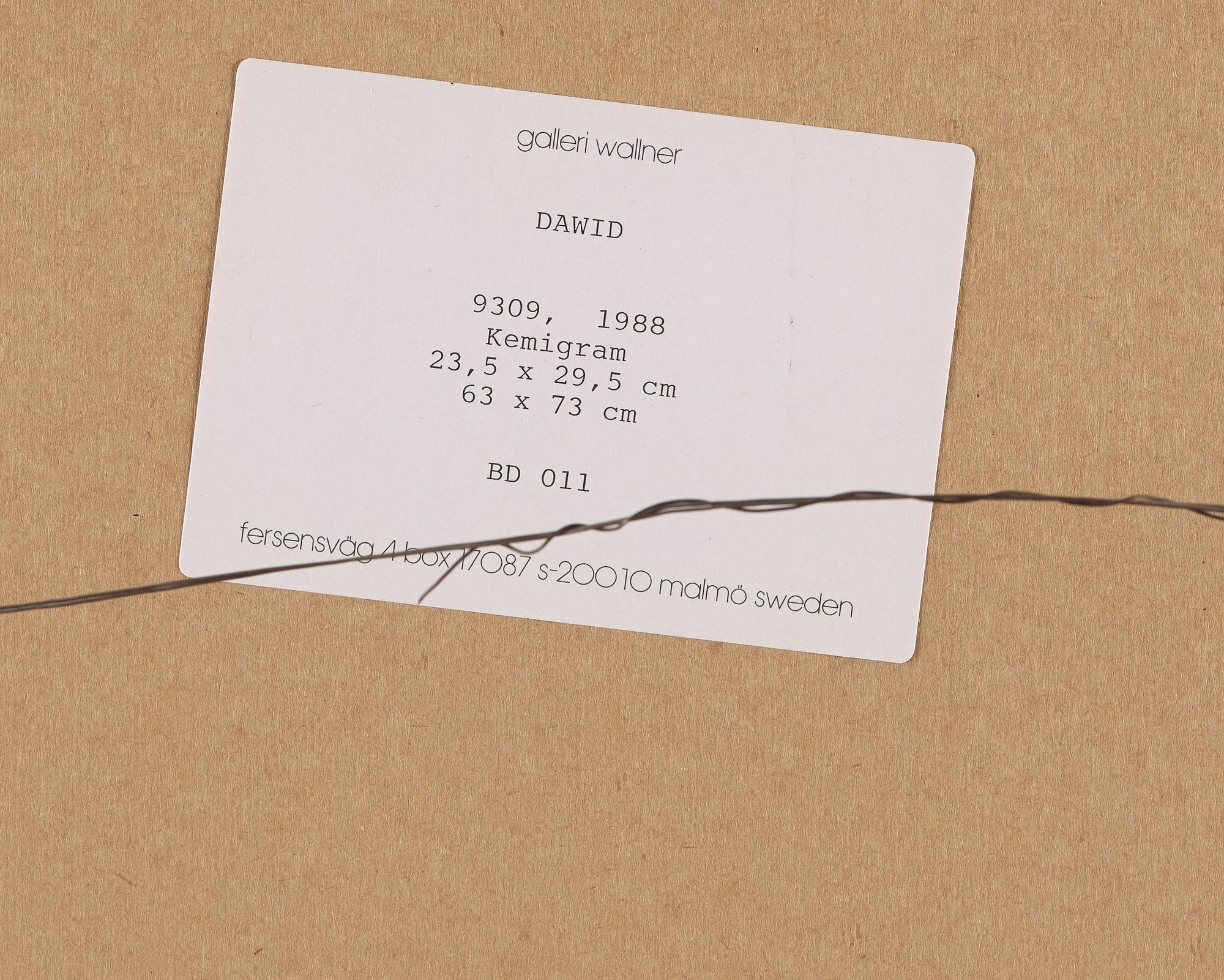 DAWID, Chemigraph on gelatin silver paper signed and dated 1988 on verso. Vintage.