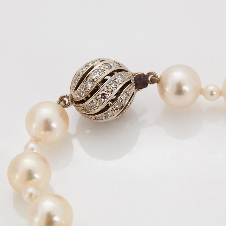 A cultured pearl necklace.