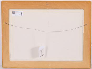 Einar Jolin, Rovfågel vid havsbandet.