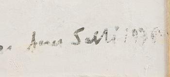 Aares Salli, Vinterlandskap.