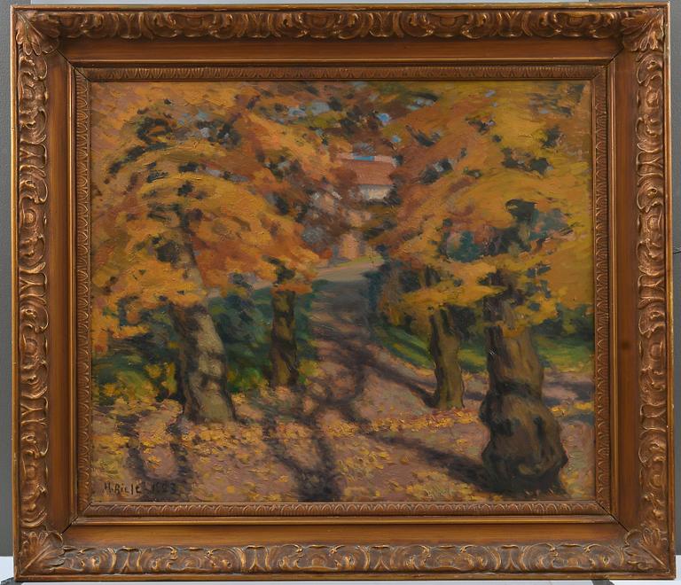 Helmi Biese, VIEW FROM KAIVOPUISTO.