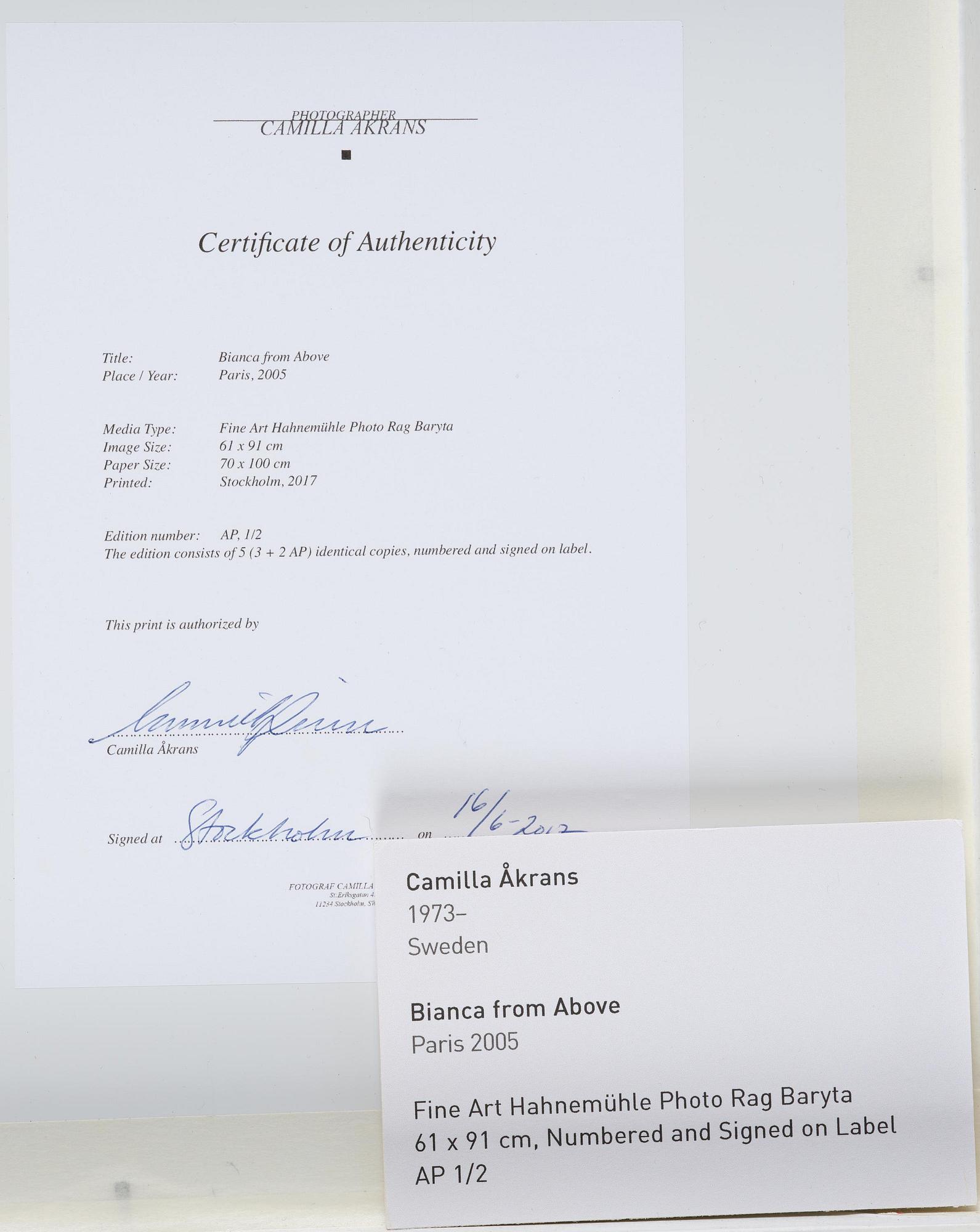 Camilla Åkrans, "Bianca from Above", Paris, 2005.