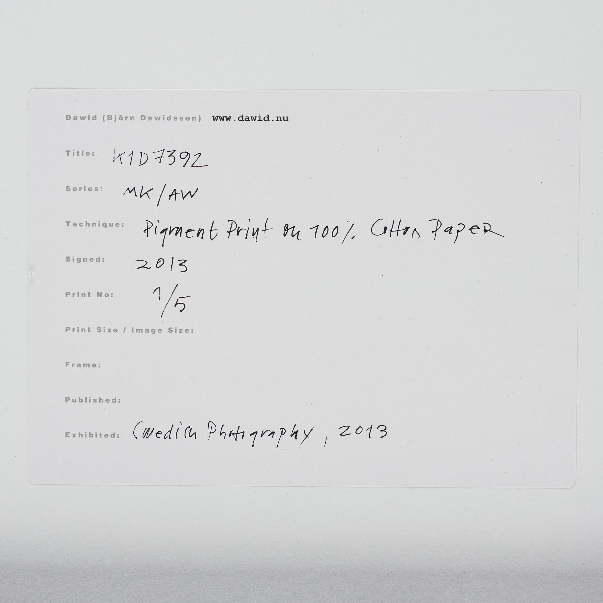 Dawid (Björn Dawidsson), "K1D7392", 2013.