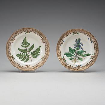 ASSIETTER, 12 stycken, porslin. "Flora Danica", Kunglig Dansk, 1900-tal.