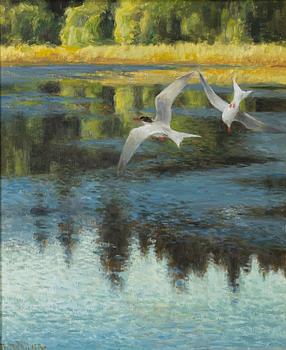 Thure Wallner, Tern bird.