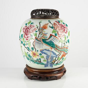 A Famille Rose porcelain ginger jar, China, Qing dynasty, 19th century.