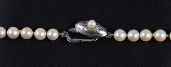 PÄRLCOLLIER.
