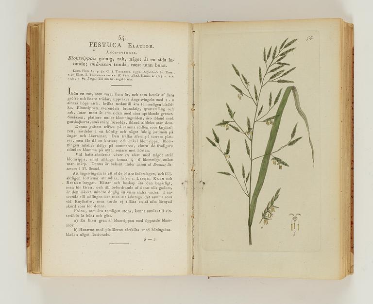 Johan Wilhelm Palmstruch, BOK, FLORA.