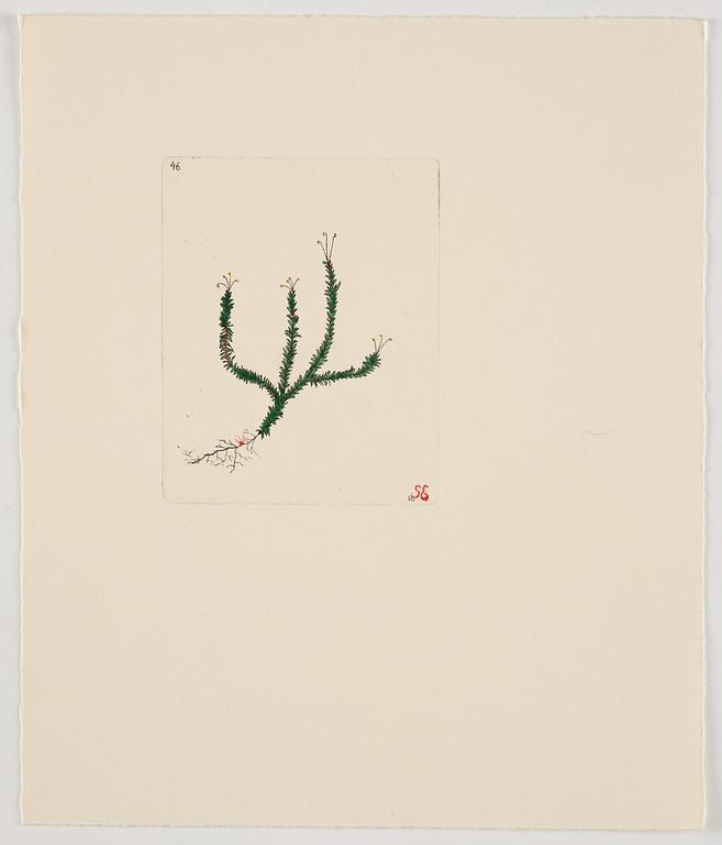 Sten Eklund, "Kullahusets hemlighet" (Kullahussviten).