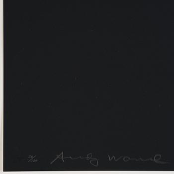 Andy Warhol, "Frölunda Hockey Player".