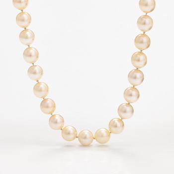 A pearl collier with a 14K whiteg old clasp and cultured pearls.