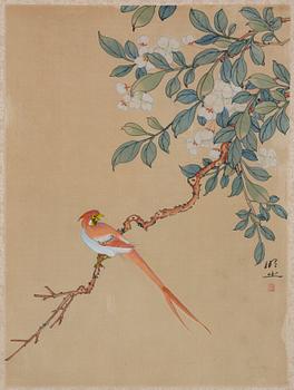 Unidentified artist, two watercolour paintings, 20th century.