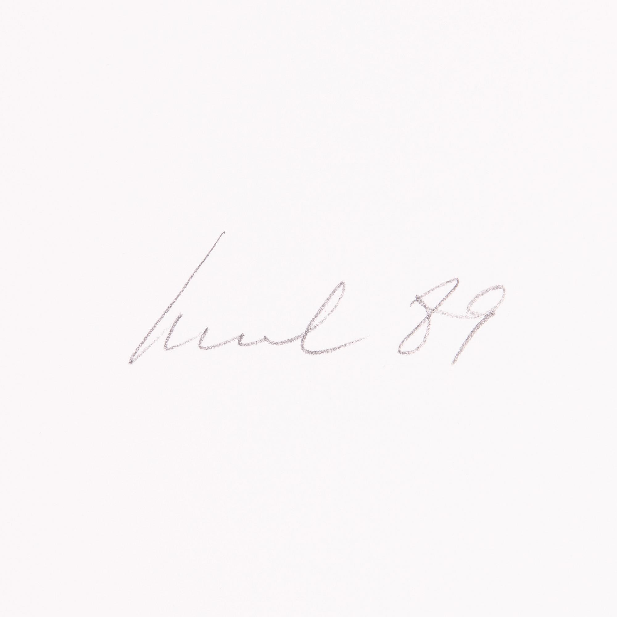 Raul Meel, "Windows and Landscape 5".