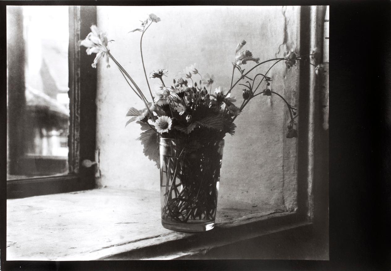 JOSEF SUDEK, silver gelatin fotografi, nummer 8/18 ur Mappen "Profily", från 1980.