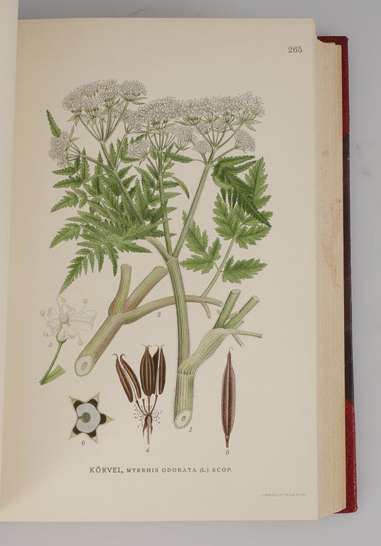 BÖCKER, 3 volymer, "Bilder ur Nordens Flora", C. A. M. Lindman, Wahlström & Widstrand, Stockholm 1922-1926.