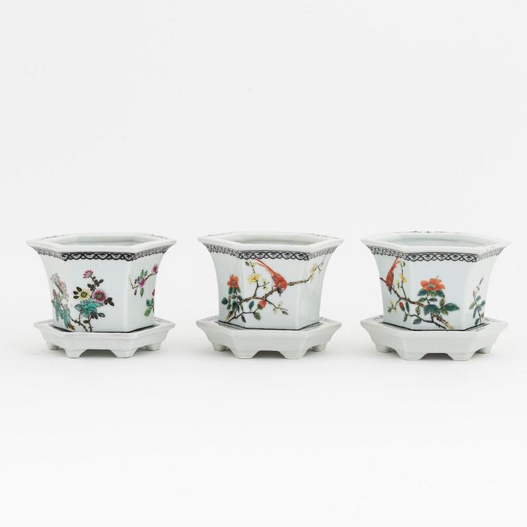 Three Chinese republic style porcelain flower pots with stand, 20th Century.