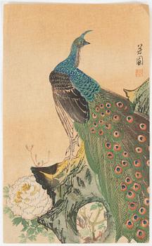 A set of 23 woodblock prints depicting birds from various artists, 20th Century.