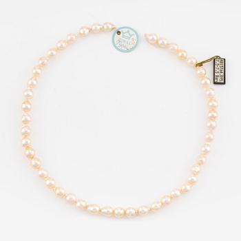 A necklace of cultured pearls without a clasp.