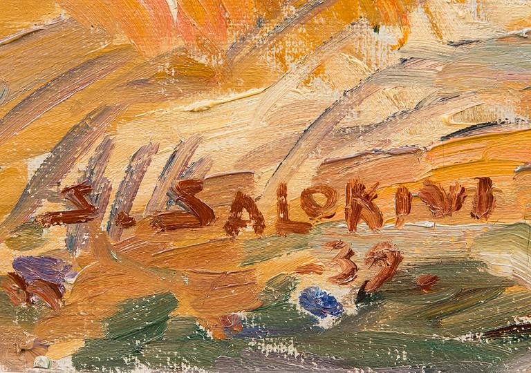 SANTERI SALOKIVI, SADONKORJUU.