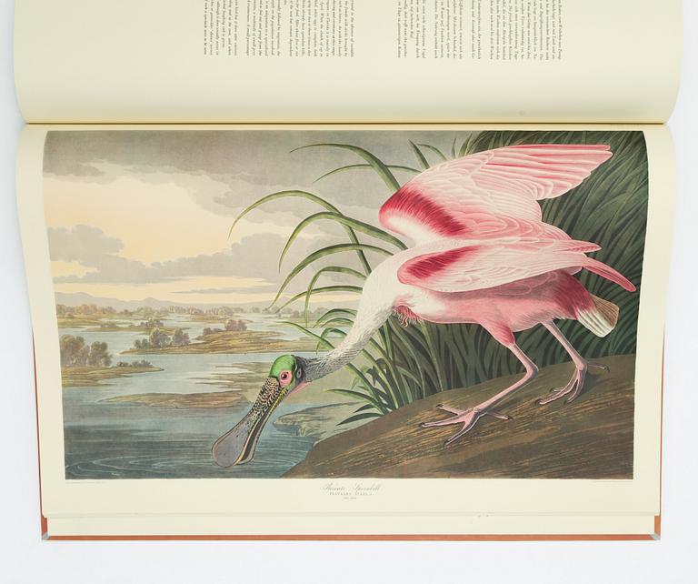 Audubon’s Birds of America.