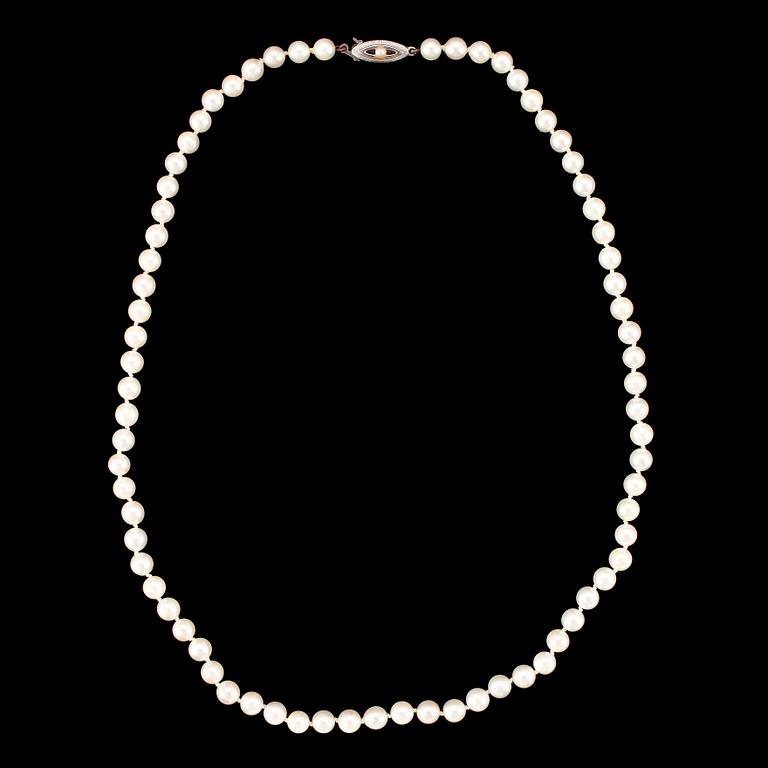 COLLIER, pärlor, odlade saltvattens pärlor med lås i silver.