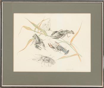 Gunnar Brusewitz, crayfish.