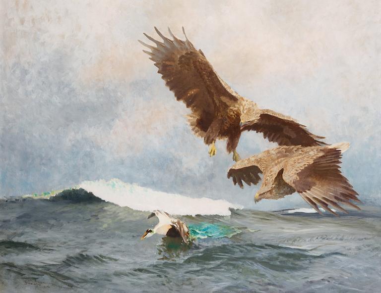 Bruno Liljefors, Two sea eagles and an eider duck.