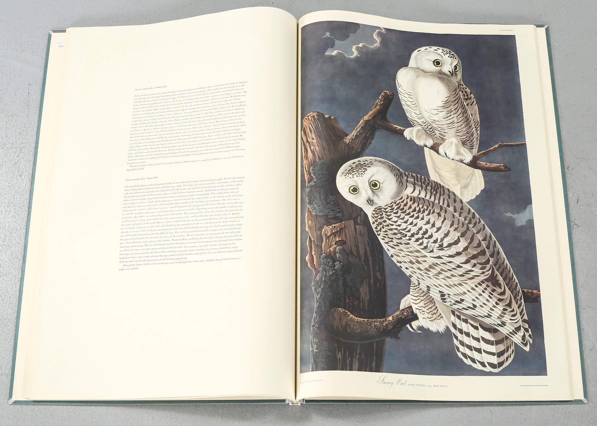 BOK, "The Birds of America", volym I, John James Audubon, numrerad 456/500, 1973.