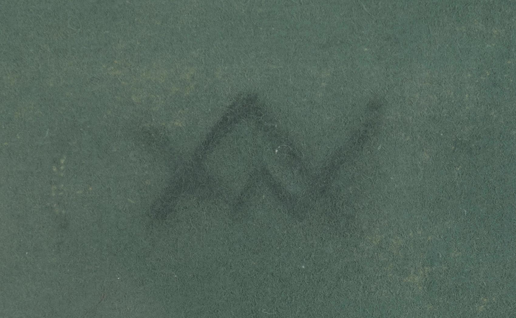 Wäinö Aaltonen, Flickpöträtt.