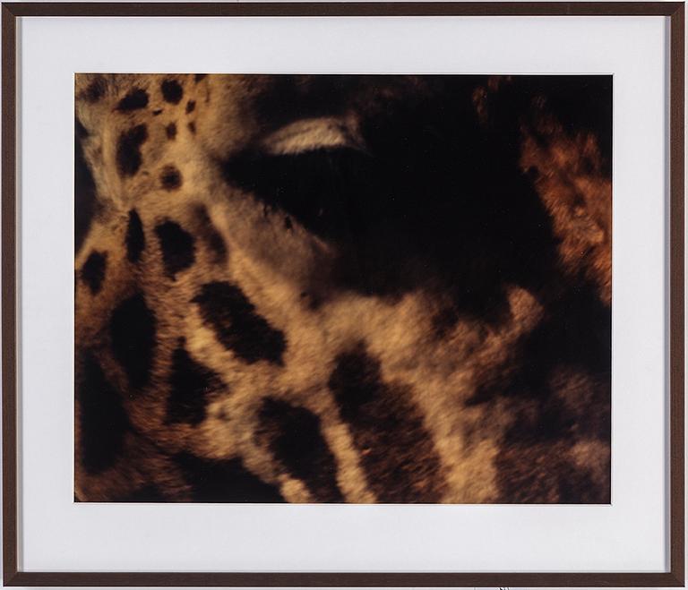 MARTINA HOOGLAND IVANOW, analog c-print. Signed and numbered 1/5 on verso.