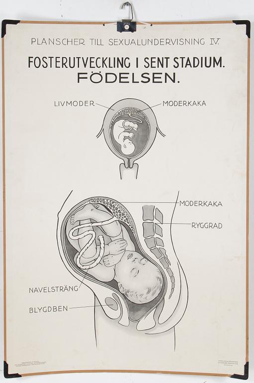SKOLPLANSCHER, 4 st, 1900-talets mitt.