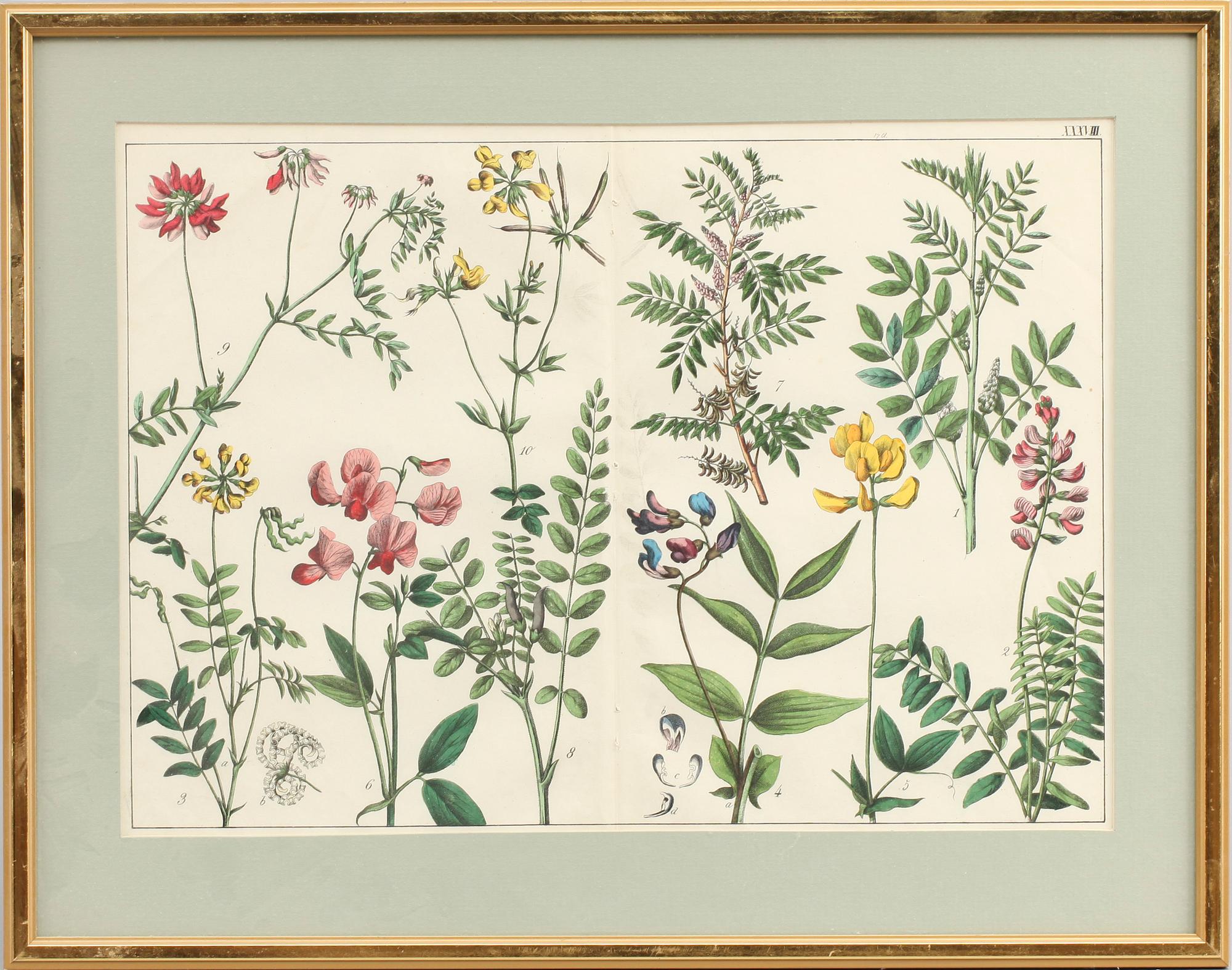 GRAFISKA BLAD, 4 st, 1800/1900-tal.