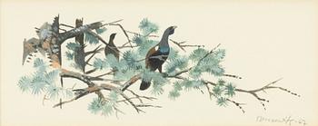 Gunnar Brusewitz, Tjäderhona.