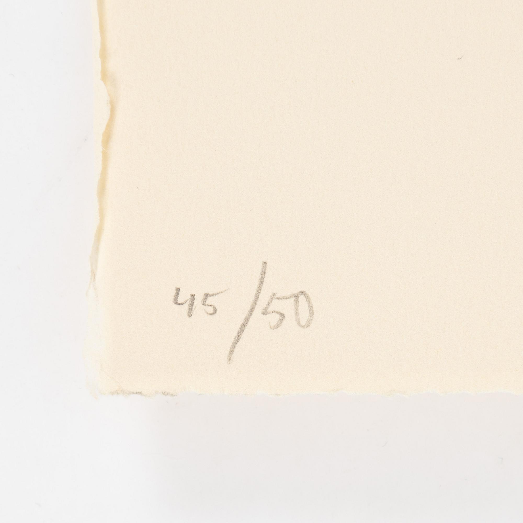 Jan Håfström, etching in colours, 2020, signed 45/50.