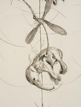 Linn Fernström, Girl in a bird's nest.