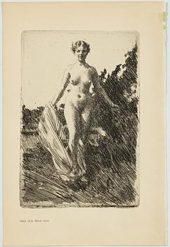 Anders Zorn, "Sommar".