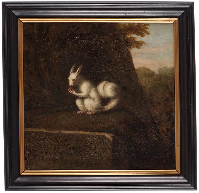 David Klöcker Ehrenstrahl, studio of, "Vit ekorre".