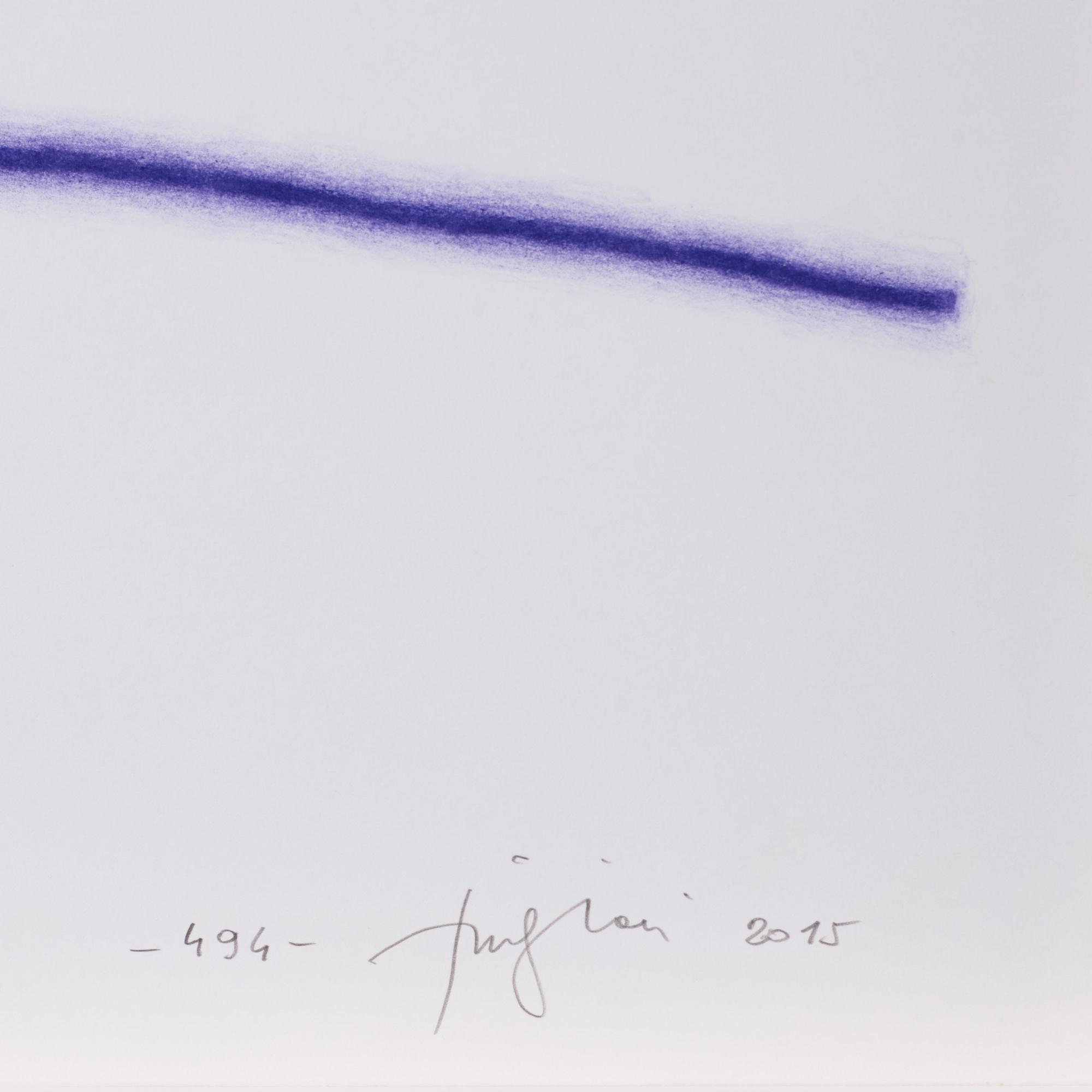 Tino Stefanoni, "494".