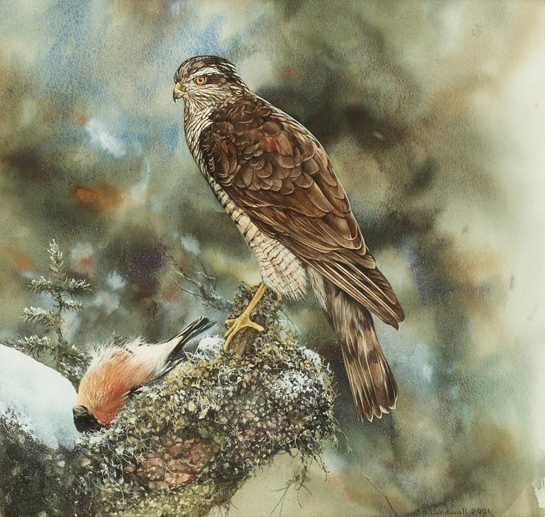 Bo Lundwall, "Sparvhök" (Sparrowhawk).