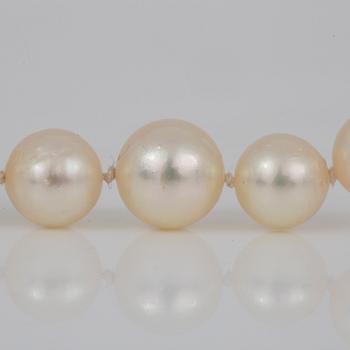 COLLIER, med odlade pärlor och lås i silver.