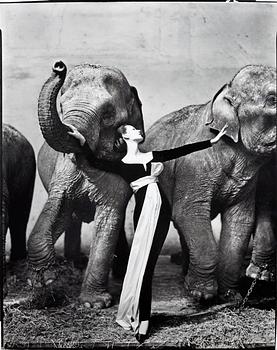 236. Richard Avedon, "Dovima with elephants, evening dress by Dior, Cirque d'Hiver, Paris, August 1955".