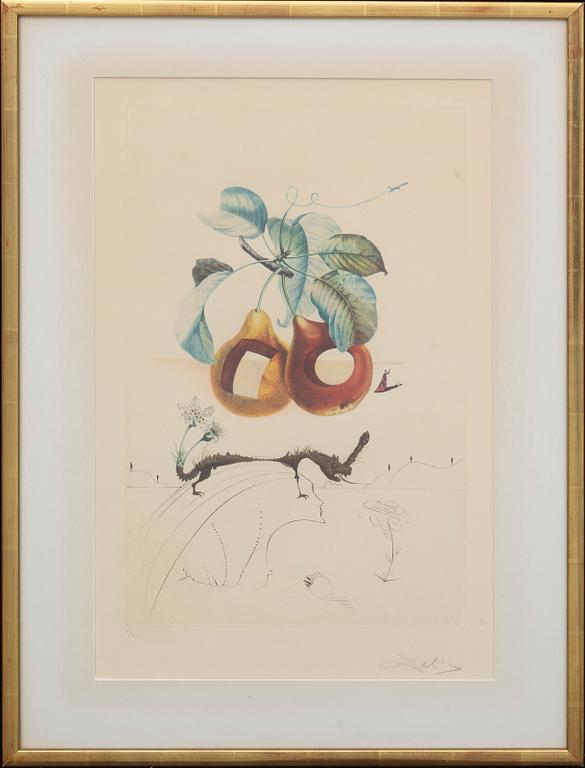 SALVADOR DALÍ,