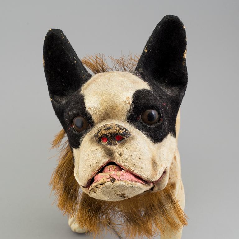 A papier mache french bulldog, France, ca 1900.